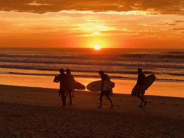 Tallow Beach Motel (Adults Only) Byron Bay Esterno foto